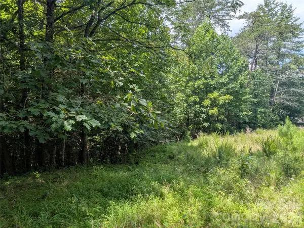 0 Austin DR #13, Marshall, NC 28753