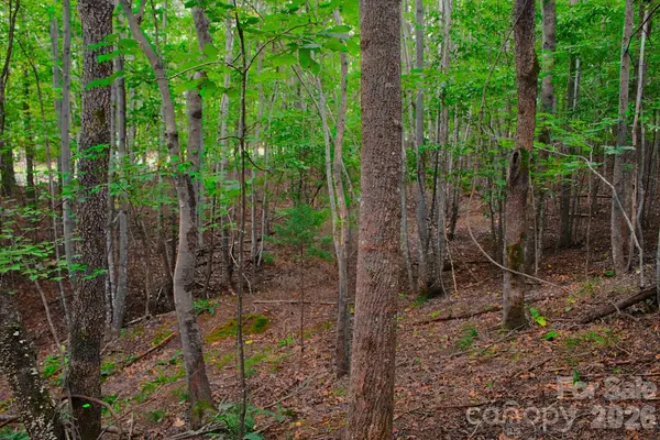 0 Creekside CIR #110, Rutherfordton, NC 28139