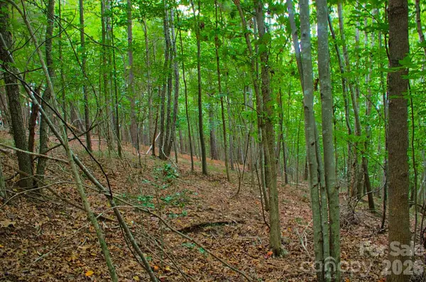 0 Creekside CIR #110, Rutherfordton, NC 28139