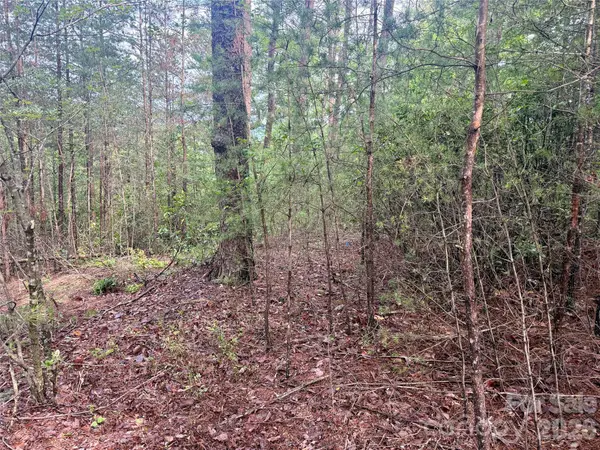 V/L Tahawus DR #92, Bostic, NC 28018