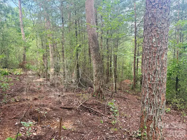 V/L Tahawus DR #92, Bostic, NC 28018