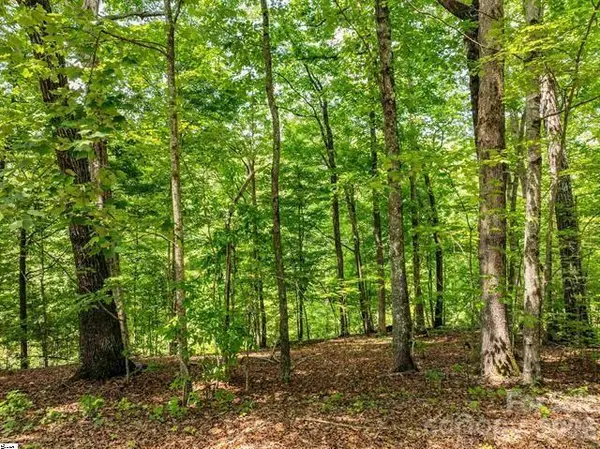 68 Wildflower LN, Travelers Rest, SC 29690