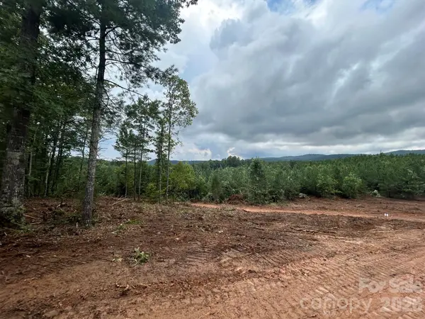 V/L Lotus DR #14, Nebo, NC 28761