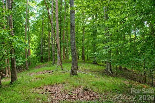 0 Cross Creek DR #136+136A, Rutherfordton, NC 28139