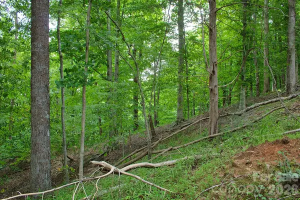 0 Cross Creek DR #136+136A, Rutherfordton, NC 28139