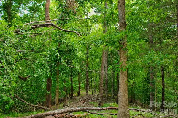 0 Cross Creek DR #136+136A, Rutherfordton, NC 28139