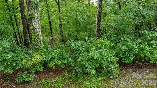 #46 Hemlock TRL, Columbus, NC 28722