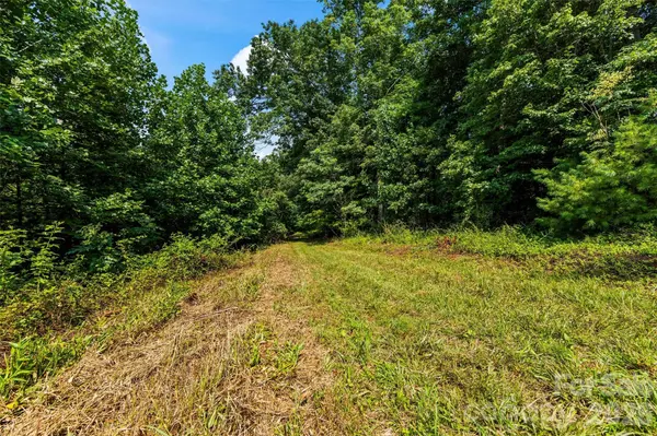 99999 Big Sandy Mush RD, Leicester, NC 28748