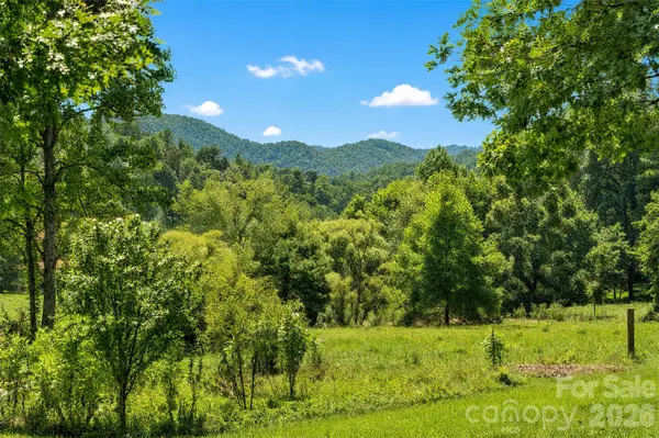 789 & 00000 Morrow Branch RD, Leicester, NC 28748