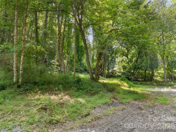 1110 Probart ST #3, Brevard, NC 28712