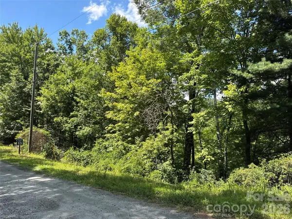 0 Quails Run BLVD, Lake Lure, NC 28746