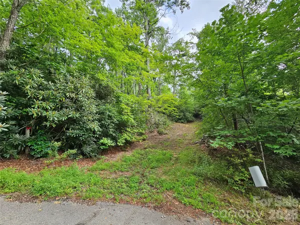 98 Down To Earth DR #98, Burnsville, NC 28714