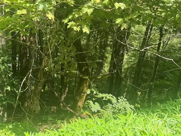 84 Goldenleaf RD, Mars Hill, NC 28754