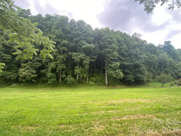 00 Foster Creek RD, Marshall, NC 28753