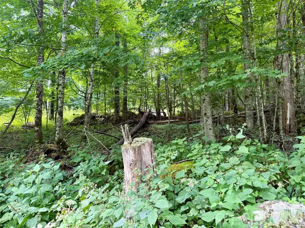 TBD Ali AVE #5, Bakersville, NC 28705