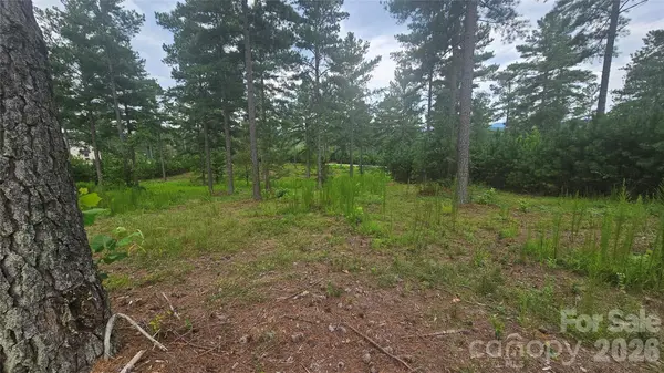 1884 Coveside DR, Granite Falls, NC 28630