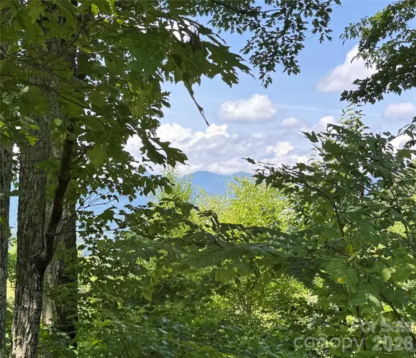 352 High Hickory TRL #20, Swannanoa, NC 28778