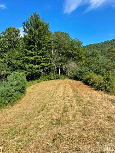 1005 Roberts Branch RD, Marshall, NC 28753