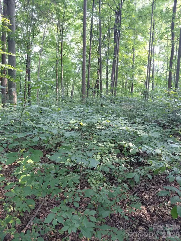 000 Stratton Farm RD, Huntersville, NC 28078