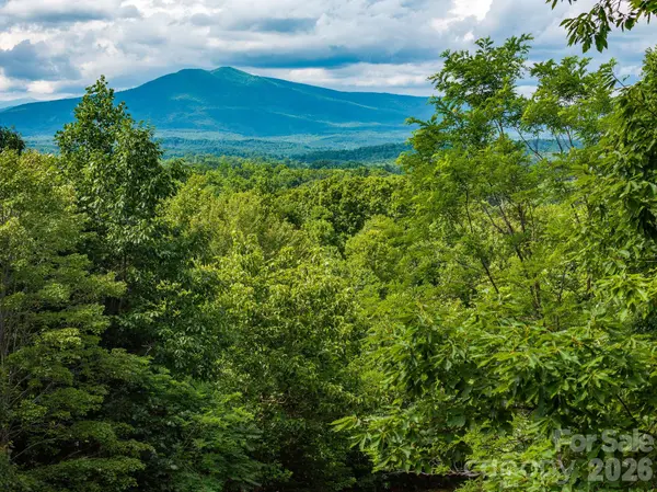 155 Big View DR #155, Marion, NC 28752