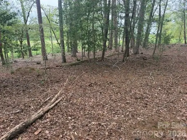 0 Eagle PT, Mount Gilead, NC 27306