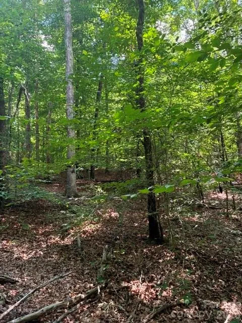 0 Moss DR #71, Rutherfordton, NC 28139