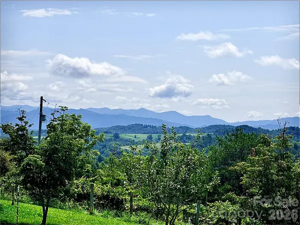 194 Cabin Hollow DR, Marshall, NC 28753