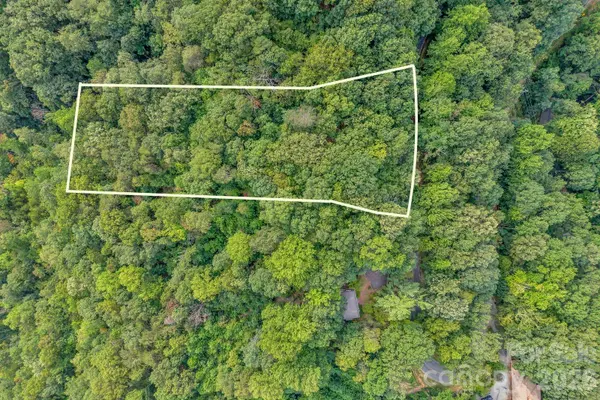 00 Hogback Mountain RD #63, Tryon, NC 28782