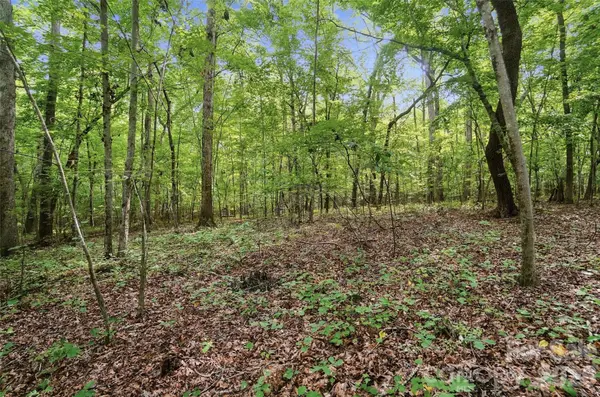 VAC Pond RD, Locust, NC 28097