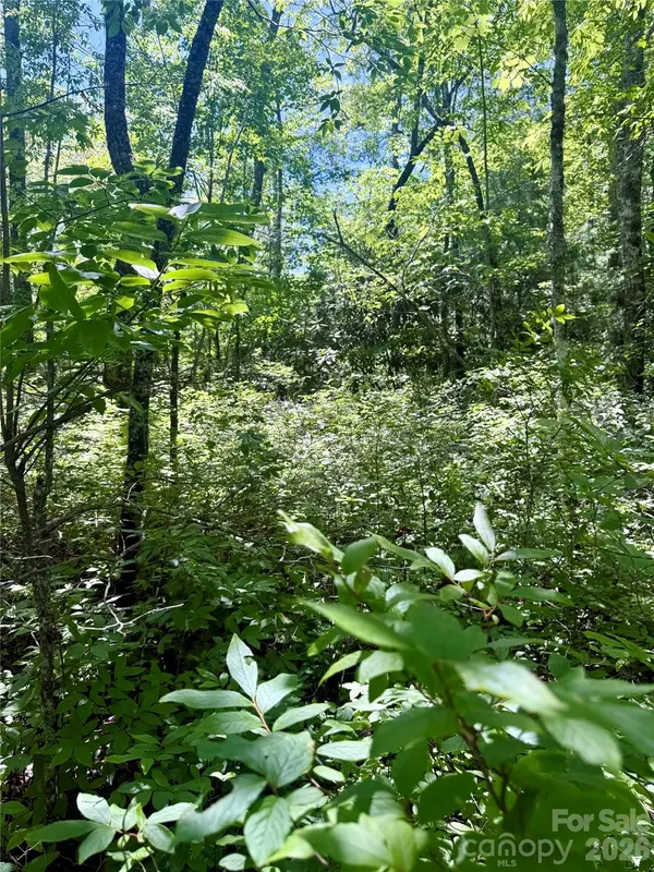 TBD Indian Lake RD #32, Lake Toxaway, NC 28747