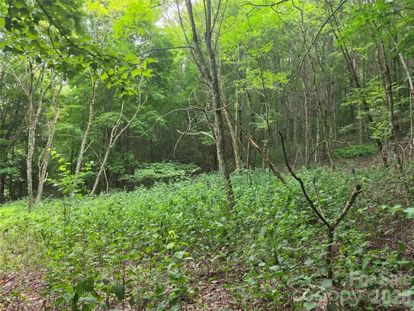 701 Pigeon Roost RD, Banner Elk, NC 28604