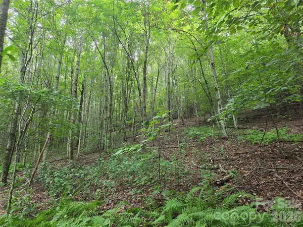 701 Pigeon Roost RD, Banner Elk, NC 28604