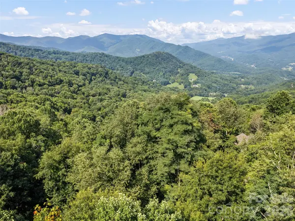 Lot #69 Twisted TRL #69, Waynesville, NC 28786