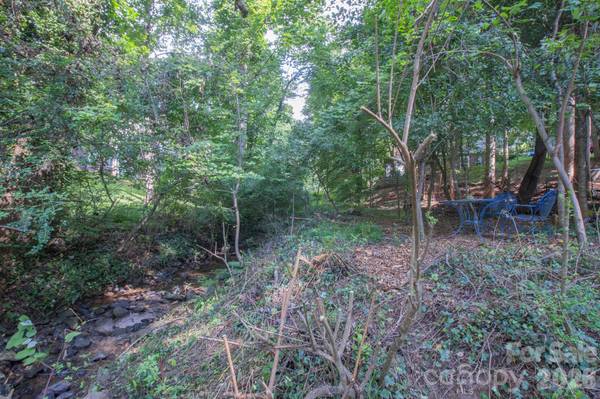 99999 Rumbough PL, Asheville, NC 28806
