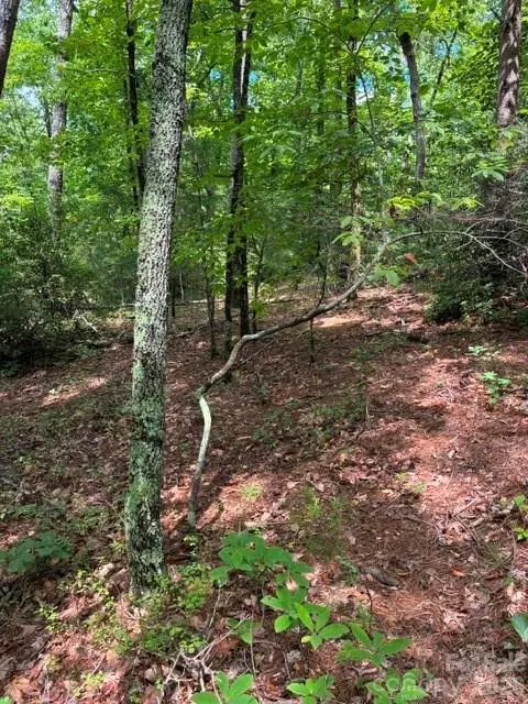 LOT 32 Justice DR #32, Lake Lure, NC 28746