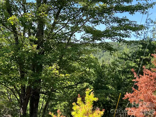 0 Brighton DR #226, Bostic, NC 28018