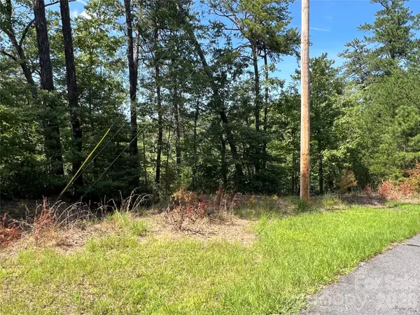0 Brighton DR #226, Bostic, NC 28018