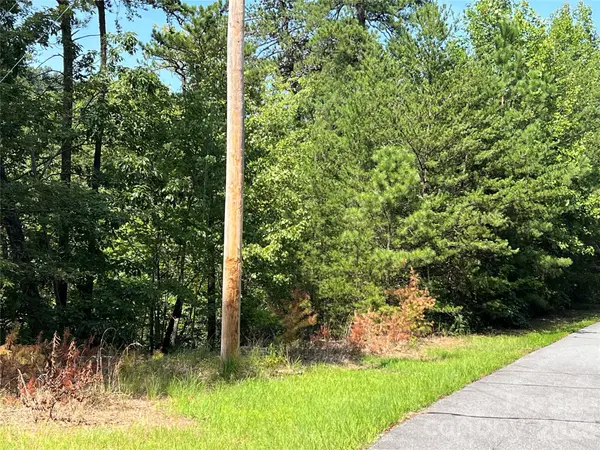 0 Brighton DR #226, Bostic, NC 28018