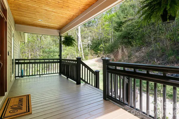 36 Snowshoe DR, Asheville, NC 28803