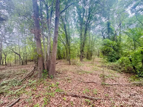 0000 Skeeter LN, Mccoll, SC 29570