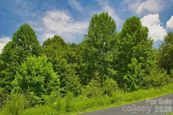 0 Clearwater Pkwy #238, Rutherfordton, NC 28139