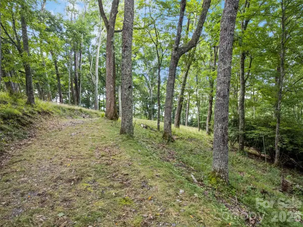 000 Wagon Trail RD, Maggie Valley, NC 28751