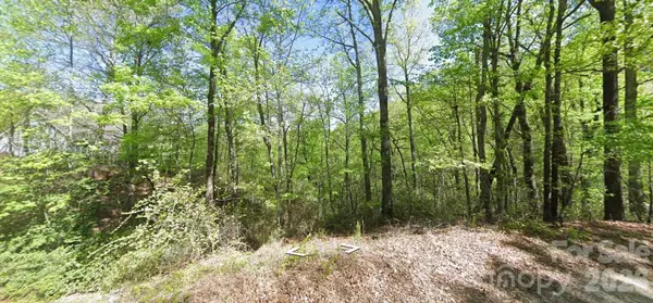 0 Buzzards PL, Lake Lure, NC 28746
