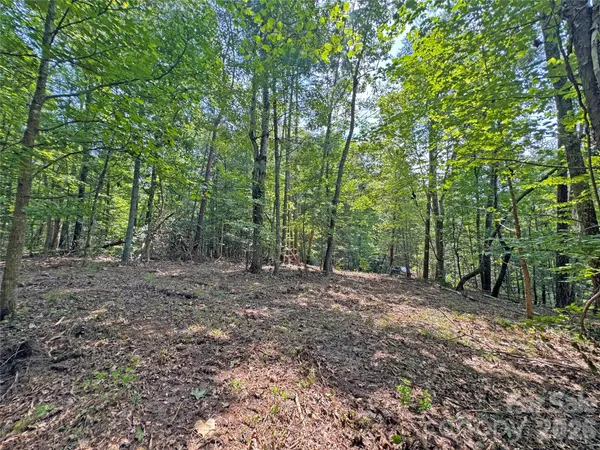 6080 River RD, Hot Springs, NC 28743