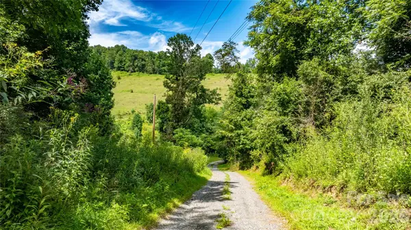 22 Fern Gully None, Marshall, NC 28753
