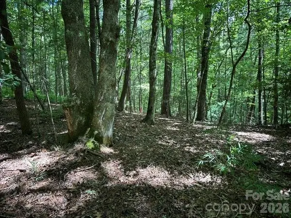 TBD Blossom RD, Brevard, NC 28712
