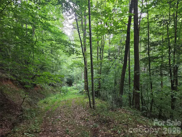 6059 Mount Zion RD, Ferguson, NC 28624