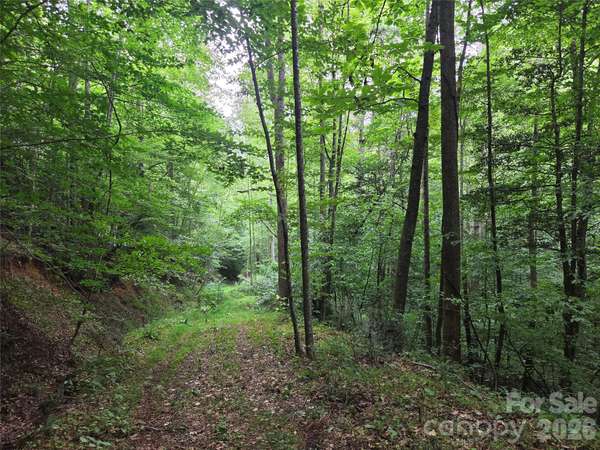 6059 Mount Zion RD, Ferguson, NC 28624