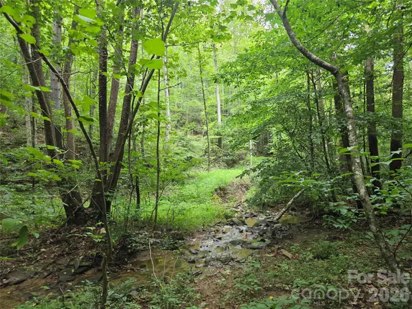 6059 Mount Zion RD, Ferguson, NC 28624