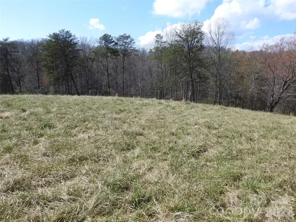 00 Laurel Lakes Pkwy #Lot 1, Lake Lure, NC 28746
